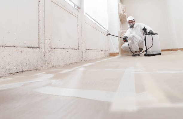 24/7 Emergency Commercial Mold Remediation experts in Oak Ridge, NC