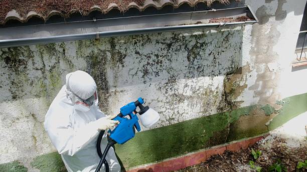 Top rated local Commercial Mold Remediation specialists in Oak Ridge, NC